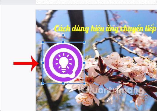Hiển thị hình ảnh trong các trang trình bày