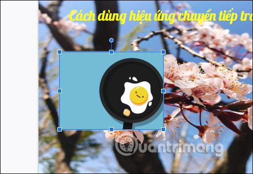 Hiển thị hình ảnh động 
