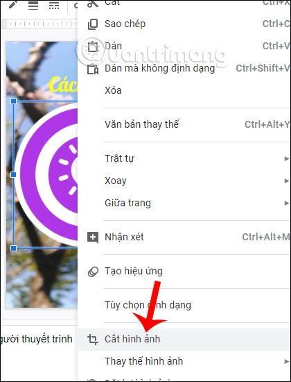 Chi tiết hình ảnh