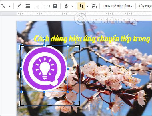 Hướng hình ảnh 