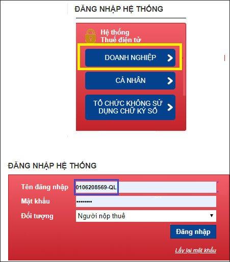 Nhập thông tin doanh nghiệp 