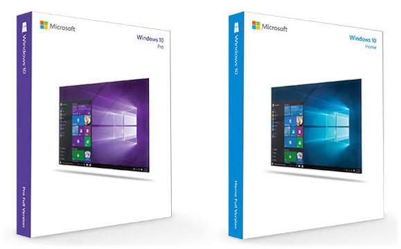 Windows 10 Pro và Windows 10 Home