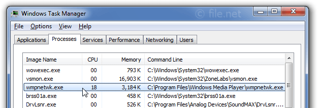 Wmpnetwk.exe