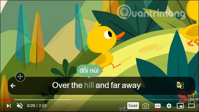 Tra cứu từ video 