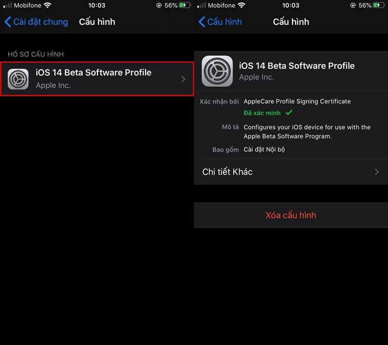 Đã kiểm tra hồ sơ phần mềm iOS 14 beta
