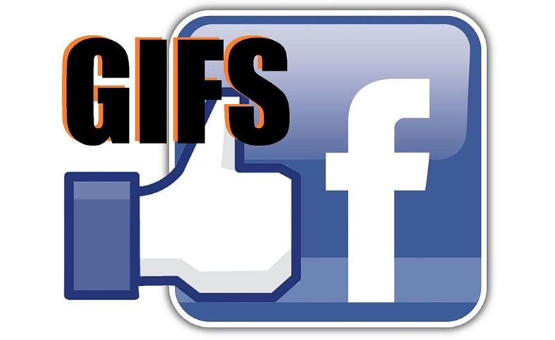 Cách đăng ảnh GIF trên Facebook