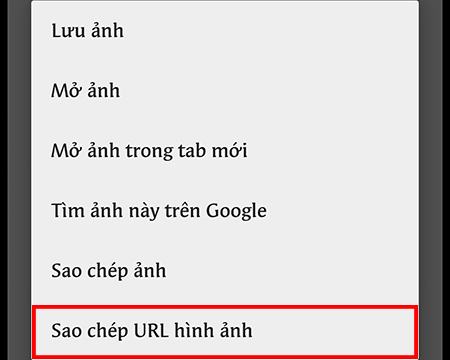 Chọn sao chép URL hình ảnh