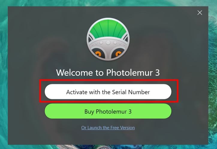 Hướng dẫn tải miễn phí bản quyền Photolemur 3 - Bước 6