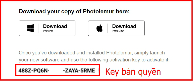 Hướng dẫn tải miễn phí bản quyền Photolemur 3 - Bước 3