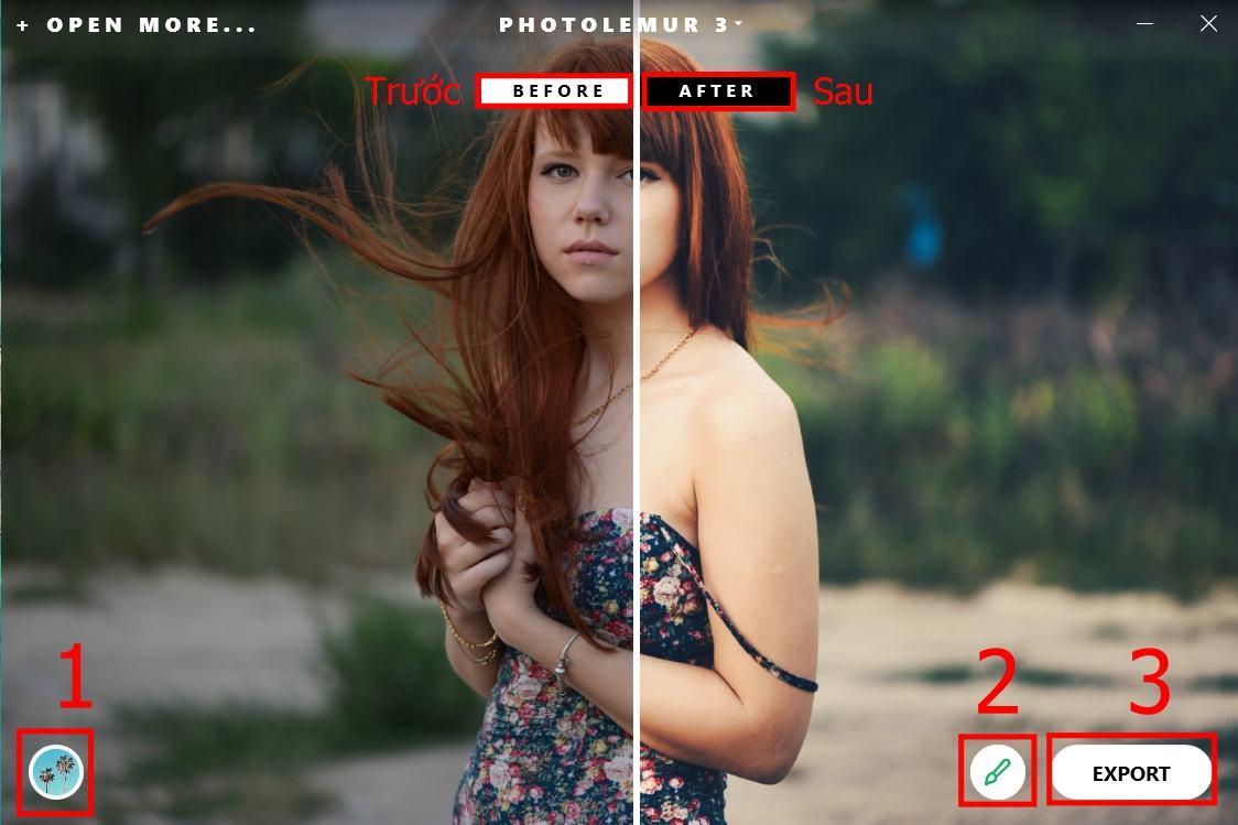 Ứng dụng chỉnh sửa ảnh thủ công Photolemur 3 - Bước 2