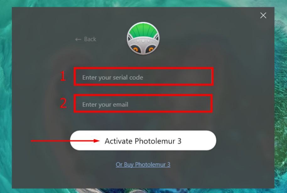 Cách tải xuống Giấy phép Photolemur Miễn phí 3 - Bước 7