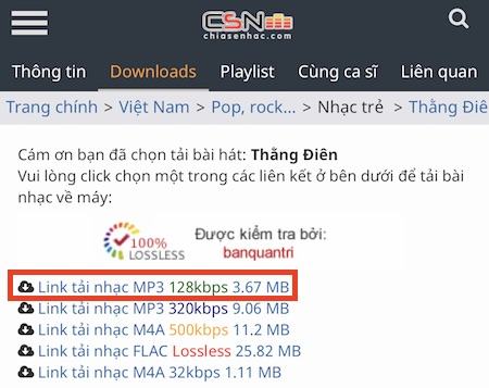 Chọn một định dạng âm nhạc