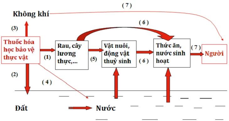 Vẽ sơ đồ trong word 