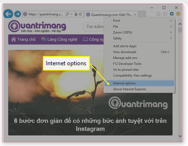 Mở Internet Explorer và chọn Tùy chọn Internet