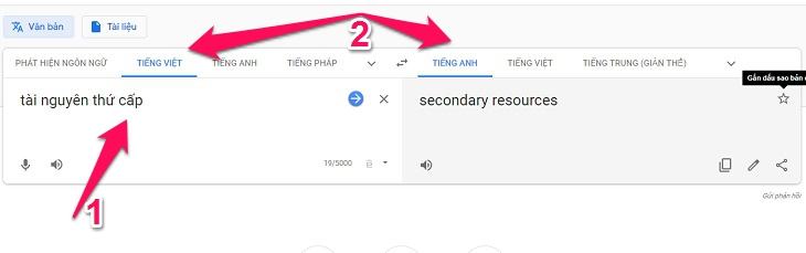 Nhập văn bản và chọn ngôn ngữ dịch