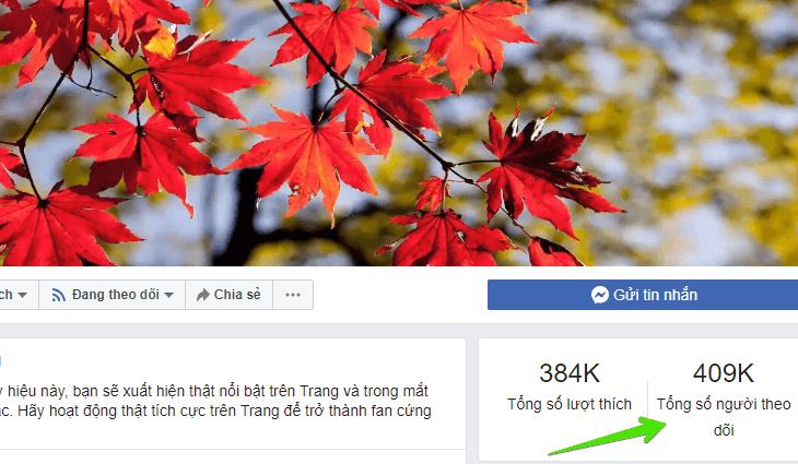 Fanpage không cần nhiều người theo dõi để có được màu xanh