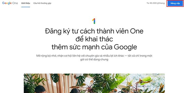 Nhấp vào Nâng cấp
