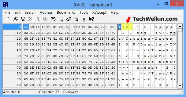 Mở tệp DAT bằng trình chỉnh sửa hex