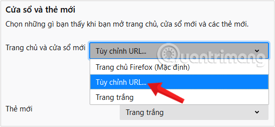 Chọn Tùy chỉnh URL ... từ menu thả xuống