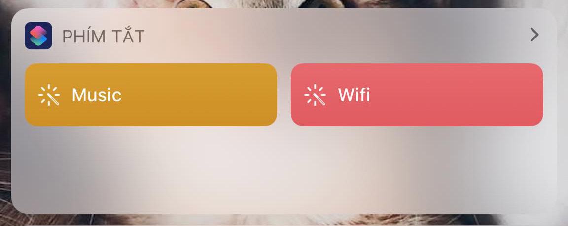 Viết tắt Siri
