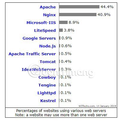 Nginx và Apache thống trị gần 85% thị trường máy chủ web