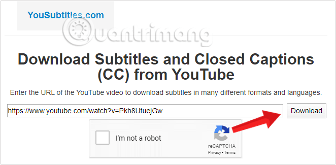 Dán url liên kết của video youtube bạn muốn tải xuống trang chủ