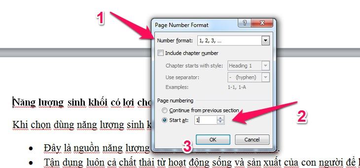 Chọn kiểu đánh số trong hộp Định dạng số và chọn Bắt đầu lúc 
