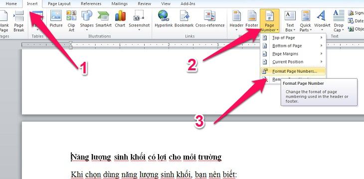 Chọn Chèn, Số Trang, Định dạng Số Trang