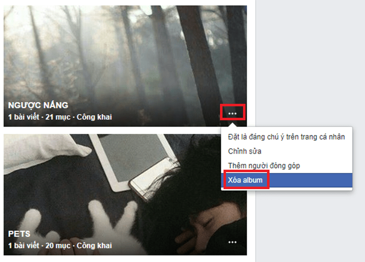 Nhấp vào biểu tượng ba chấm ở trên cùng, sau đó chọn Xóa Album 