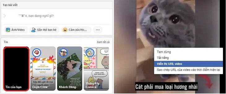 Chọn video mà bạn muốn đăng trên bảng tin, nhấp chuột phải và chọn url video