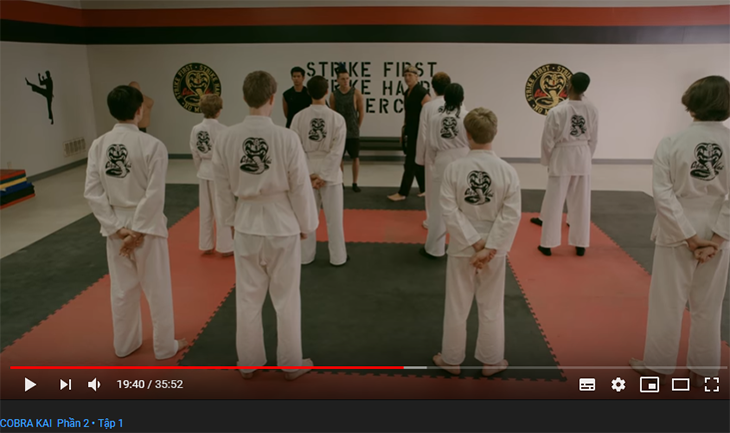 Cobra Kai, bộ phim truyền hình hài hành động của Mỹ được chiếu độc quyền trên Youtube Originals