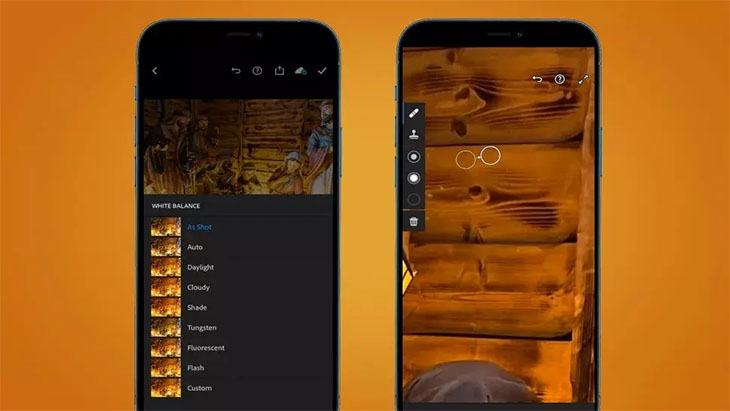 Đóng băng bàn chải chữa bệnh tại chỗ trong Lightroom