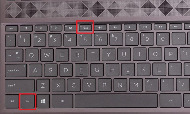 Nếu phím F5 trên bàn phím được in logo HP đặc biệt, hãy sử dụng tổ hợp phím Fn + F5