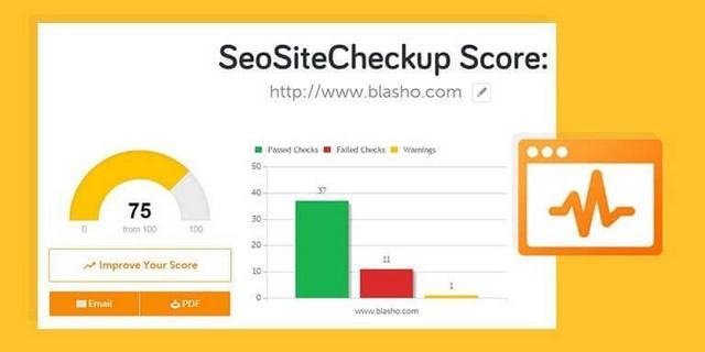 SEO Site Checkup